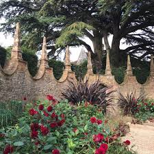 Isabel Bannerman On Instagram Looking V Magical Even The Newzealandflax Nofavouriteofmine Outdoor Gardens Instagram New Zealand Flax