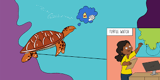 See full list on virginiaherpetologicalsociety.com Following The Journey Of Sea Turtles On Their Quest For Food Frontiers For Young Minds