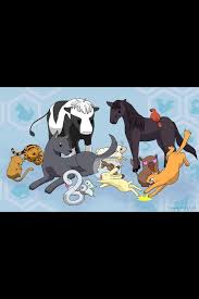 What Is Your Zodiac Animal Fruits Basket Anime Amino