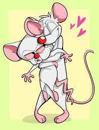 Brain is so determined to take over the world that he executes a plan every night while hoping for the same result. The Pinky And The Brain By Elainavoorhees On Deviantart