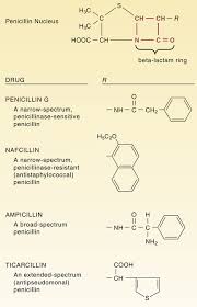 Image result for Extended Spectrum Penicillin
