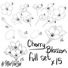 Cherry Blossom Procreate Brushes Full Set Etsy In 2021 Flower Drawing Tutorials Flower Drawing Cherry Blossom Art