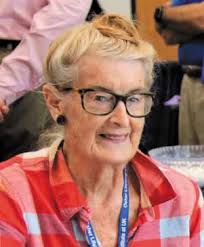 Neighbors object, council approves: Affordable homes coming to old Transy  baseball field