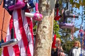 Protesters hang blow-dryers and hair curlers on a tree outside Nancy Pelosi's  house  | Not the Bee