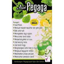 Bahan ini mempunyai khasiat secawan epal hijau hanya mengandungi 63 kalori berbanding pisang yang mempunyai 134. Jus Pegaga Epal Hijau Lemon Kencing Manis Darah Tinggi Obesiti Free Gift Shopee Malaysia