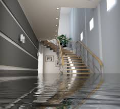 Maybe you would like to learn more about one of these? Emergency Flood Cleanup Tips What To Do When The Basement Floods