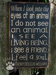 When I Look Into The Eyes Of An Animal I Do Not See An Animal The Eyes Of An Animal Primitve Word Art Typography Pine Wall Sign Cute Baby Animals Dog Quotes Animal Quotes