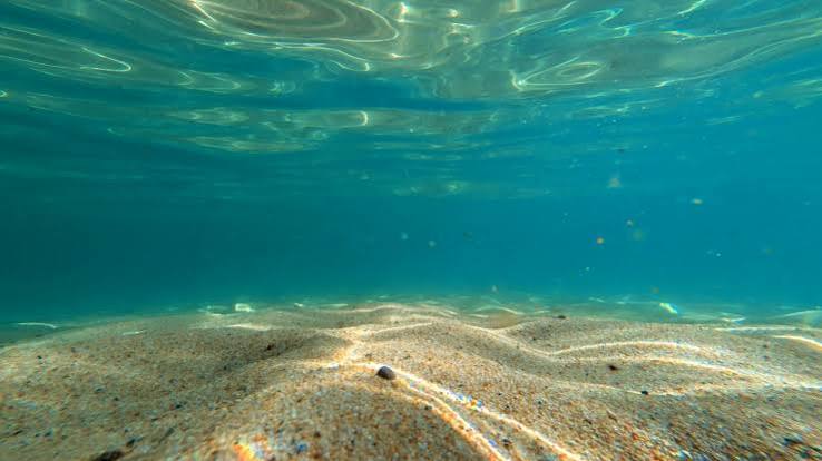 An underwater view of a sandy beach under water - Free Photo on Unsplash