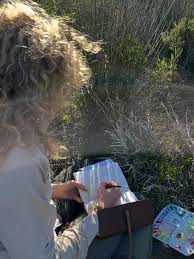 Image result for Dissotis princeps