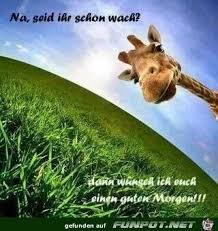 Ich steh schon neben der tür! Seid Ihr Schon Wach Learn Hebrew Hebrew Lessons Animals