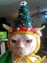 Crocheted Christmas Tree Hat For Dog Or Cat Holiday Jingle Etsy Holiday Cookies Christmas Christmas Tree Hat Christmas Cats