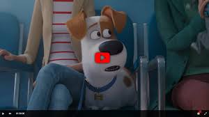 Singuri acasă 2 este continuarea imensului succes din 2016, și ne duce iar în lumea secretă a animăluțelor de companie. The Secret Life Of Pets 2 2019 Sanimovies S Diary