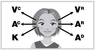 eye pattern chart nlp information