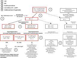 This test is faster and less expensive than the tests a doctor may do by drawing blood from a vein. For The Differential Diagnosis Of Ida Vs Ai Vs A Combination Of Both Download Scientific Diagram