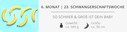 23 Ssw Schwangerschaftswoche Das Erlebst Du In Der 23 Schwangerschaftswoche