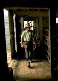 Amish dairy farmer, Daniel Stoltzfus, in his barn
