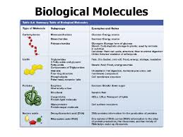 As an instruction book, all dna does is to store information. Molecules Of Life What Are Organic Molecules Compounds