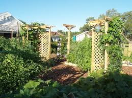 Check spelling or type a new query. Enh1214 Ep475 Landscape Design With Edibles