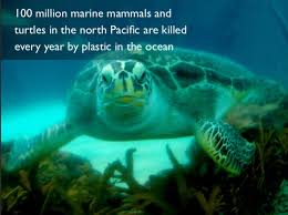 Pin By Anna Gamblin On Go Green Zero Waste Ocean Pollution Ocean Pollution