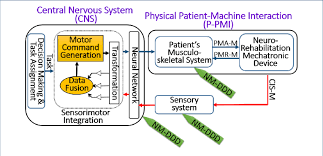 Patient Robot Interaction Information Flow For Nrm