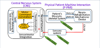 patient robot interaction information flow for nrm