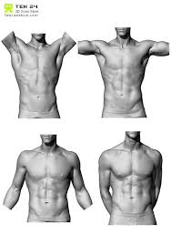 Download files and build them with your 3d printer, laser cutter, or cnc. Ten24 Torso Scan Body Anatomy Man Anatomy Male Torso