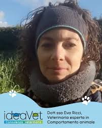 🎆 Il Capodanno si avvicina… e non sempre è una festa per i nostri animali  domestici., Nel video di oggi, la Dott.ssa Eva Ricci, Veterinaria  Comportamentalista del nostro team ideaVet, ricorda quanto ...