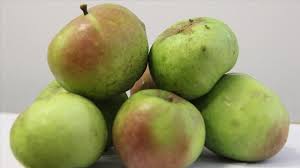 Tripadvisor has 1,827 reviews of yomra hotels, attractions, and restaurants making it your best yomra resource. Yomra Elmasi Cografi Isaret Tescil Belgesi Aldi