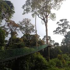 Meter kecantikan malaysia puncak tertinggi maladewa hanya 2.3 meter di atas permukaan laut sehingga dikenal juga sebagai negara yang memiliki puncak tertinggi paling rendah di dunia. 6 Titian Kanopi Di Malaysia Yang Wajib Anda Kunjungi Terutamanya No 5