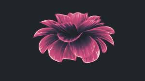 Some flowers are ultraviolet colored, which you cannot ordinarily see, but may observe when you shine a black light on them. Opening Long Blooming Blue Flower Stock Footage Video 100 Royalty Free 1010194187 Shutterstock