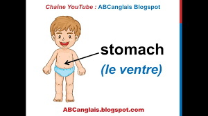 I can see it in your eyes i can see it in your smile you're all i've ever wanted and my arms are open wide because you know. Cours D Anglais 18 Les Parties Du Corps En Anglais La Tete Le Visage Vocabulaire Youtube