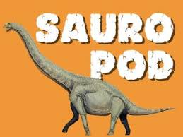 Brimming with humor and the How Did Dinosaurs Sleep Standing Or Laying Eyes Closed Or Opened