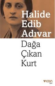 Daga Cikan Kurt Ozet Halide Edib Adivar