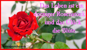 Das Gluck Die Blute Kurze Spruche