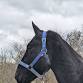 Ride for Rescue at Elkins Creek Horse Camp in event image