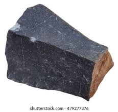 Image result for Hylebates