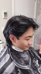 Asian Gentleman Haircut Clean Finish