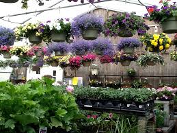 Most gift shops in eastport accepts both cash and major credit cards. Photos Mainely Flowers