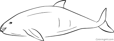 Just poorly drawn animals floating in the middle of a white page. Simple Harbour Porpoise Coloring Page Coloringall