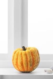 Neu Cucurbita Zierkurbis Versch Arten Kurbis Deko Ikea Kurbis