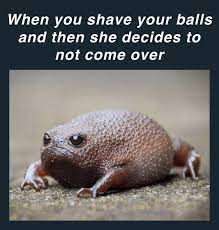 It should have all the tools that your grooming needs. Sigh Dankmemes