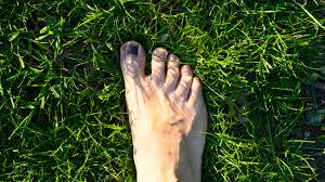 These antifungal treatments are available at local pharmacies, which. Black Toenail From Running How To Treat Runners Toe Self