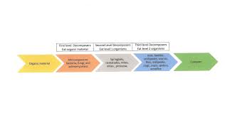 Compost Microbes Www Carryoncomposting Com