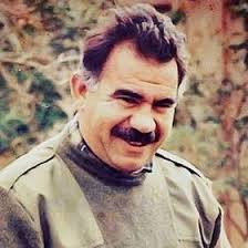 Amer Ismail (amiraismail648)