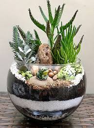 This Is One Amazing Terrarium Terrarium Indoorgarden Ideasdejardineria Jardineriaenmace Succulent Garden Indoor Succulent Garden Diy Succulent Terrarium