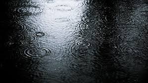 Rain Desktop Backgrounds 1080p 2k 4k 5k Hd Wallpapers Free Download Wallpaper Flare Looking for the best raining wallpaper? rain desktop backgrounds 1080p 2k 4k