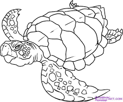 Coloring pages for children, sea creatures, turtle and golden key. Sea Turtle Coloring Sheet Coloring Home
