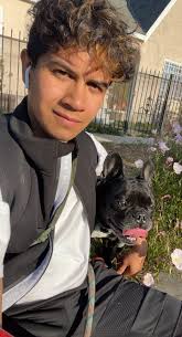 This man Marlon Wiggins stole 7 french bulldog puppies from me using fake  cash