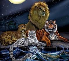 Pin By Sherry Dotts On Cats Big Cats Art Animals Beautiful Animals