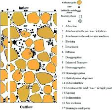We have spent many hours communicating with you guys and just want to reiterate what an amazing group of people this is! Transport Of Engineered Nanoparticles In Soils And Aquifers